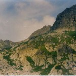 010 (2)
