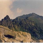 012 (2)