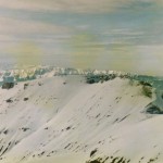 029 (2)