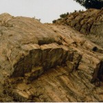 033 (2)