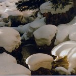 035 (2)