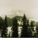 041 (2)