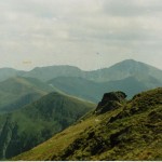 048 (2)