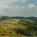 049 (2)