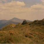 068 (2)