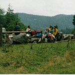 071 (2)
