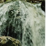 076 (2)
