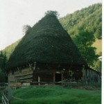 088 (2)