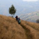 10596