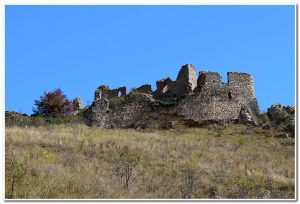 Cetatea Coltesti