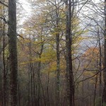 20141018_120840