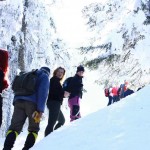 3115