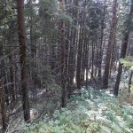 DSCN2660