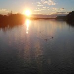 DSCN7983
