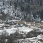 DSCN8022