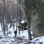 DSCN8060