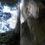 DSCN8089