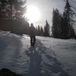 DSCN8133