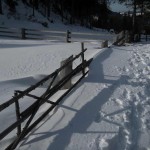 DSCN8153