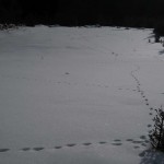 DSCN8165