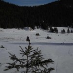 DSCN8177