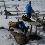 DSCN8197