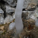 DSCN8221