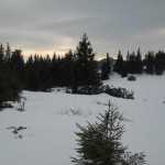 DSCN8312