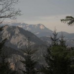 DSCN8336