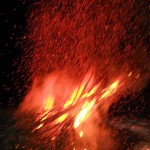 DSCN8737