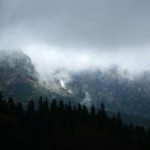 IMG_9333