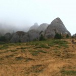 IMG_9408