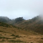 IMG_9418