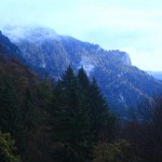 IMG_9499