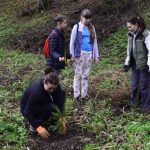 38006