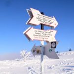 63566