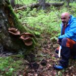 64267