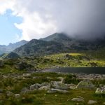 66586