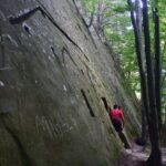 69612