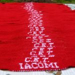 Cupa  Iacomi(153)