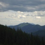 DSC08619