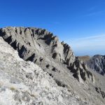 DSCN0029