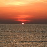 DSCN0174