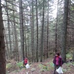 DSCN2616