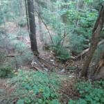 DSCN2725