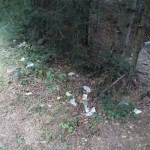 DSCN2727