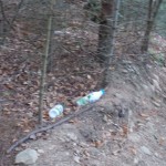 DSCN2728