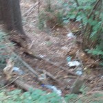 DSCN2730