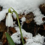 DSCN5357