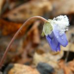 DSCN5381
